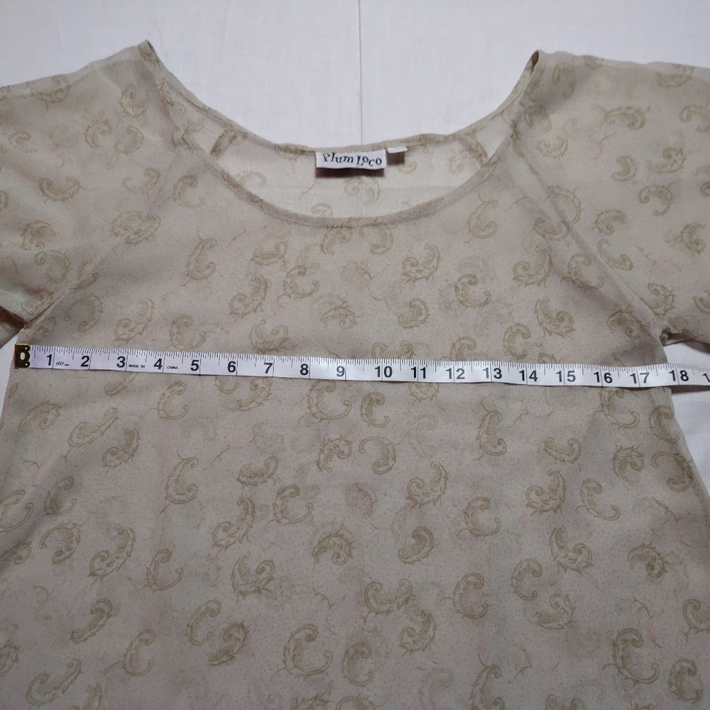 Plum Loco Blouse Women's Size 1 Beige Sheer Top Round Neck Short Sleeve Shirt - Picture 2 of 12